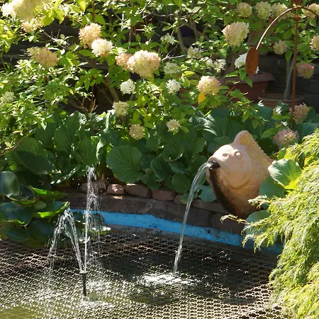 豪斯艾姆库公寓酒店 酒店 2*